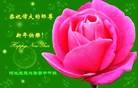 ֹ,ӱ󷨵ӹףʦ(22)
