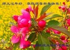 ֹ,ϵͳ󷨵ӹףʦ(25)
