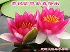 ֹ,ʡ󷨵ӹףʦ(20)
