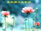 ֹ,ʡ󷨵ӹףʦ(20)

