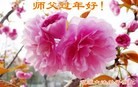 ֹ,ʡ󷨵ӹףʦ(20)
