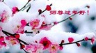 ֹ,Ϋ󷨵ӹףʦ(24)
