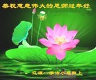 ֹ,ʡ󷨵ӹףʦ(23)
