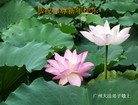 ֹ,ݴ󷨵ӹףʦ(23)
