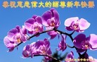 ֹ,ൺ󷨵ӹףʦ(26)
