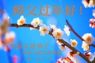 ֹ,ɽ󷨵ӹףʦ(29)
