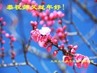 ֹ,󷨵ӹףʦ(21)
