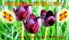 ֹ,½Ӵ󷨵ӹףʦ(21)
