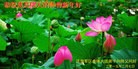 ֹ,½Ӵ󷨵ӹףʦ(21)
