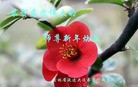 ֹ,ʡ󷨵ӹףʦ(20)
