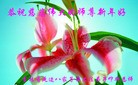 ֹ,ʡ󷨵ӹףʦ(20)
