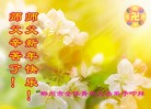 法轮功,湖南大法弟子恭祝师尊过年好(22条)
