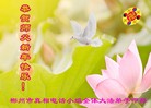 法轮功,湖南大法弟子恭祝师尊过年好(22条)
