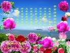 法轮功,河北大法弟子恭祝师尊过年好(24条)
