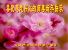 ֹ,д󷨵ӹףʦ(20)
