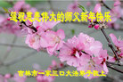 ֹ,д󷨵ӹףʦ(20)
