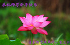 ֹ,ľ˹󷨵ӹףʦ(26)
