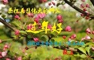 ֹ,󷨵ӹףʦ(24)
