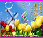 ֹ,ϴ󷨵ӹףʦ(21)
