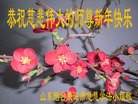 Published on 2/16/2015 ���ֹ�,��½�󷨵��ӹ�ףʦ������(35��)
