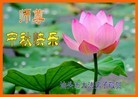 ֹ,㶫󷨵ӹףʦ(24)
