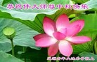 ֹ,ʡ󷨵ӹףʦ(19)
