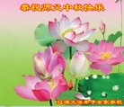 ֹ,ʡ󷨵ӹףʦ(19)
