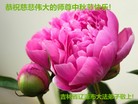 ֹ,ʡ󷨵ӹףʦ(21)
