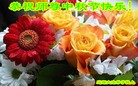 ֹ,ʡ󷨵ӹףʦ(21)
