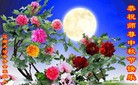 ֹ,ʡ󷨵ӹףʦ(21)

