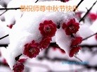 ֹ,ʡ󷨵ӹףʦ(19)
