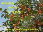 ֹ,󷨵ӹףʦ(22)
