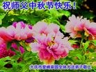 ֹ,󷨵ӹףʦ(22)
