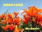 ֹ,󷨵ӹףʦ(25)
