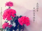 ֹ,󷨵ӹףʦ(22)
