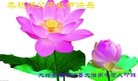 ֹ,󷨵ӹףʦ(22)

