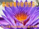 ֹ,㶫󷨵ӹףʦ(29)
