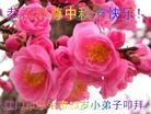 法轮功,广东大法弟子恭祝师尊中秋好(29条)
