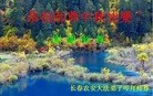 ֹ,ʡ󷨵ӹףʦ(21)
