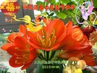 ֹ,󷨵ӹףʦ(23)
