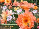 ֹ,󷨵ӹףʦ(23)
