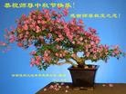 ֹ,ϴ󷨵ӹףʦ(28)
