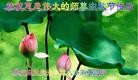 ֹ,󷨵ӹףʦ(24)
