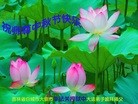 ֹ,ʡ󷨵ӹףʦ(22)
