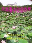 ֹ,ʡ󷨵ӹףʦ(22)
