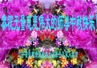 ֹ,󷨵ӹףʦ(23)
