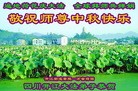 法轮功,四川大法弟子恭祝师尊中秋好(21条)
