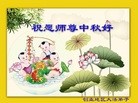 ֹ,󷨵ӹףʦ(19)
