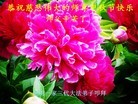 ֹ,ϴ󷨵ӹףʦ(28)

