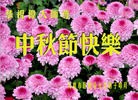 ֹ,󷨵ӹףʦ(19)
